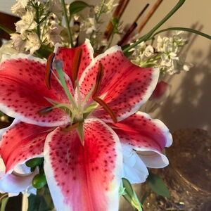 Meet your Posher, Cassandra